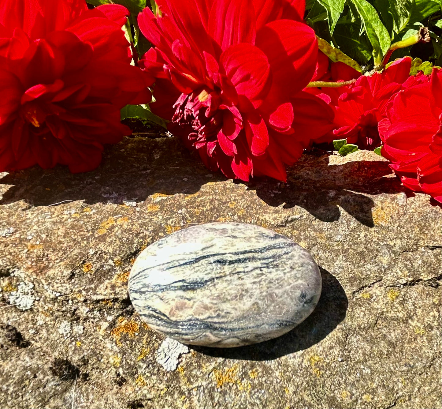 Zebra Jasper Palm Stone