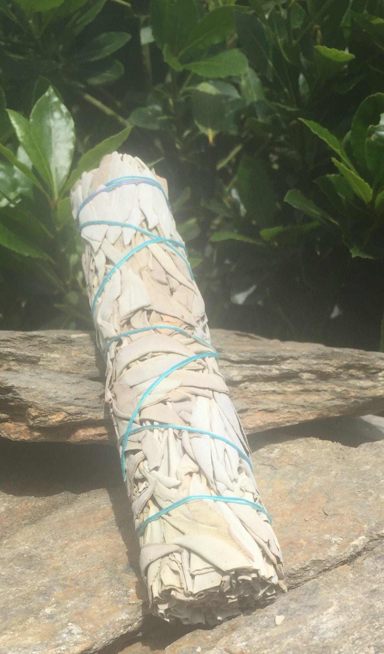 White Sage Smudge Stick - Large