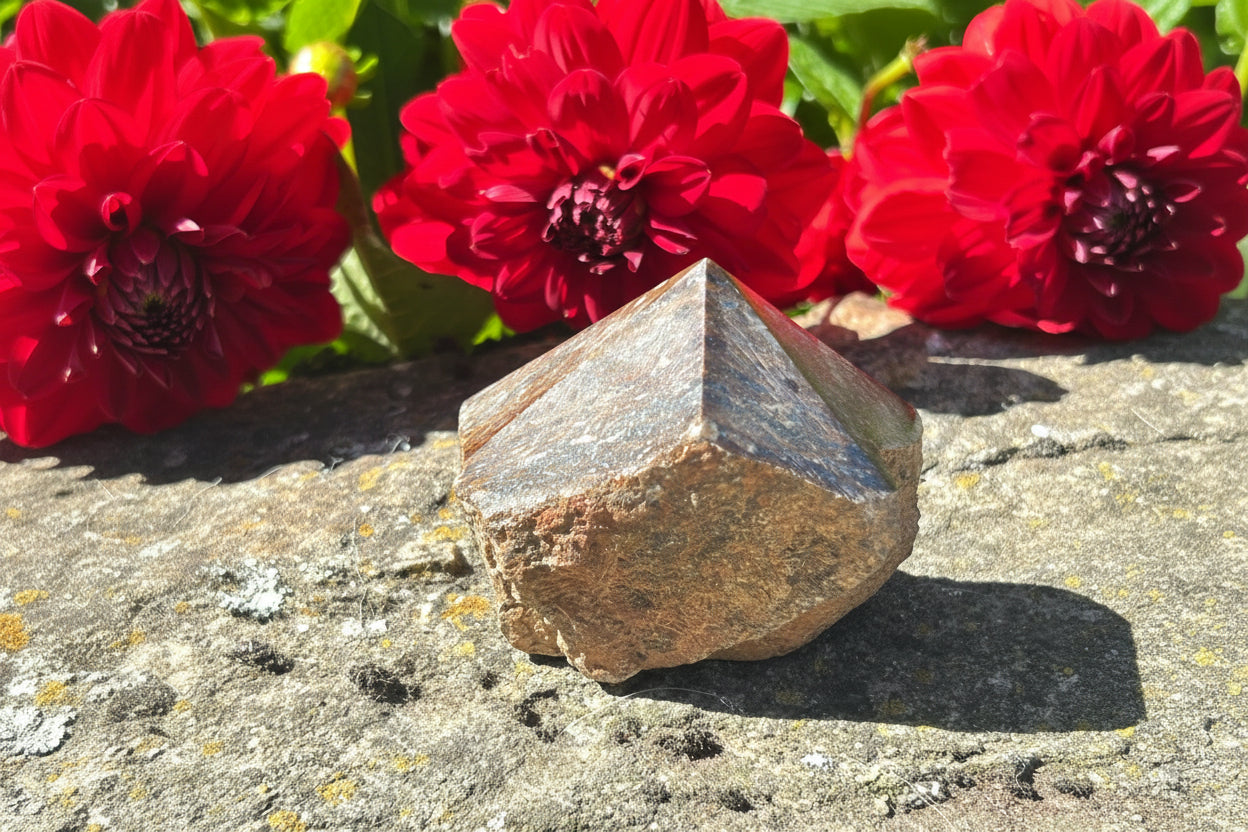 Bronzite Tower Lge
