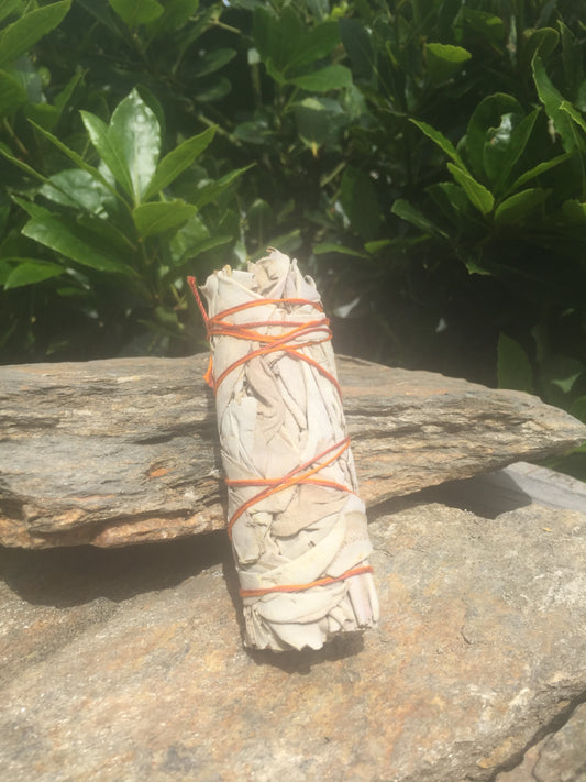 White Sage Smudge Stick - Medium