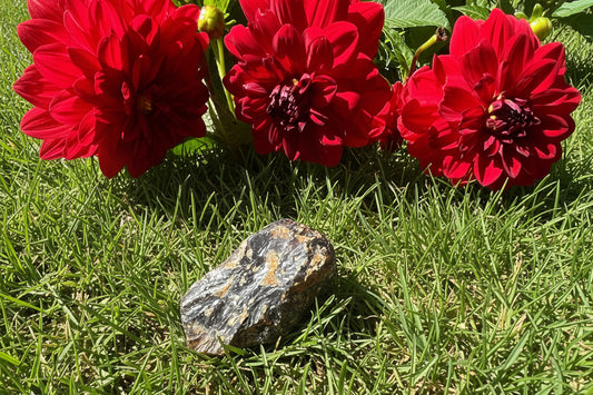 Raw Amber Piece