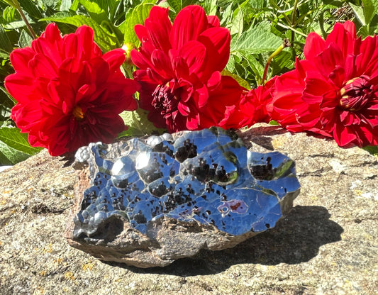 Botryoidal Hematite