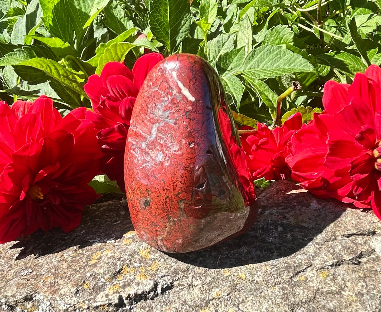 Red Jasper Free Form