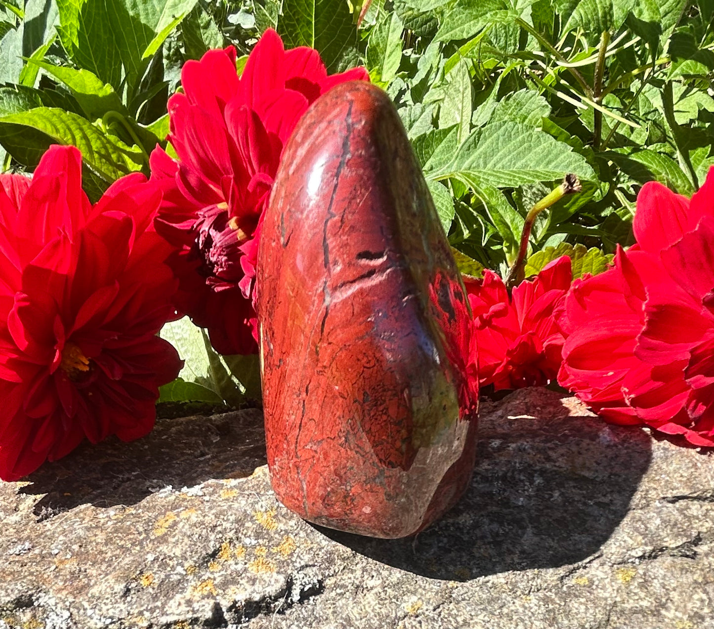 Red Jasper Free Form