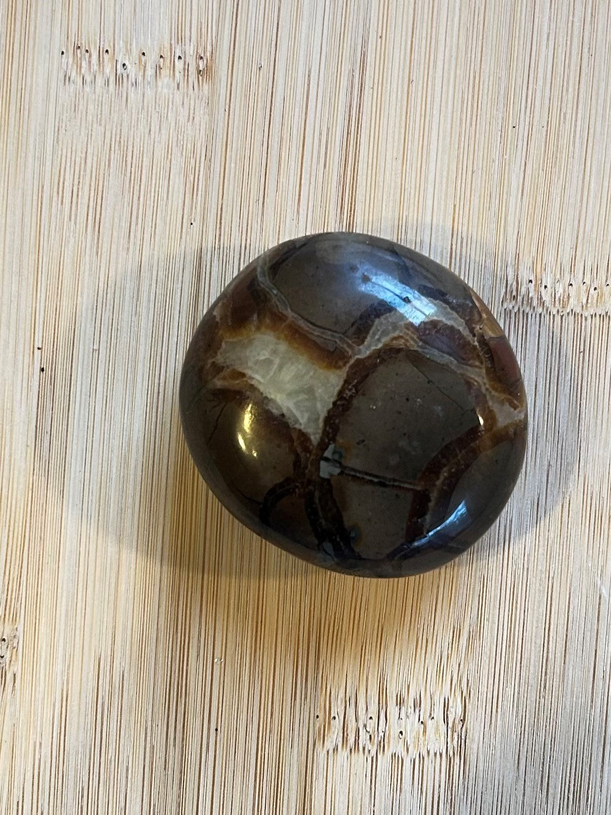 Septarian - Palm Stone