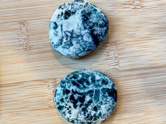 Tree Agate - Palm Stone