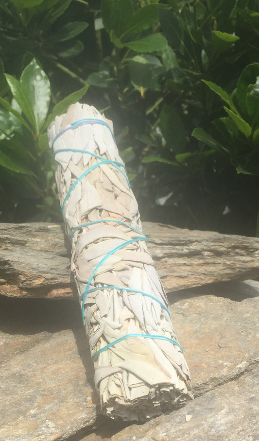 White Sage Smudge Stick - Large